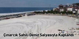 Çınarcık Sahili Deniz Salyasıyla Kaplandı