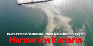 Çevre Profesörü Mustafa Öztürk’ten Yetkililere Çağrı: Marmara’yı Kurtarın