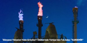 ‘Dünyanın Yükselen Yıldız Şirketleri’ Ödüllerinde Türkiye’den Tek Aday: “KARDEMİR”