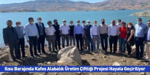 Ilısu Barajında Kafes Alabalık Üretim Çiftliği Projesi Hayata Geçiriliyor