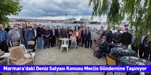 Marmara’daki Deniz Salyası Konusu Meclis Gündemine Taşınıyor