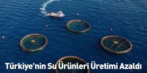 Türkiye'nin Su Ürünleri Üretimi Azaldı
