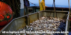 AB ve İngiltere 2021 Yılı İçin Balıkçılık Kotalarında Anlaştı