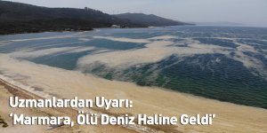 Uzmanlardan Uyarı: ‘Marmara, Ölü Deniz Haline Geldi’