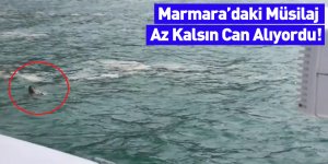 Marmara’daki Müsilaj Az Kalsın Can Alıyordu