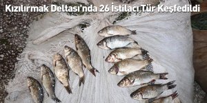 Kızılırmak Deltası'nda 26 İstilacı Tür Keşfedildi