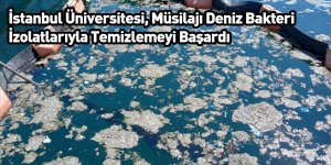 İstanbul Üniversitesi, Müsilajı Deniz Bakteri İzolatlarıyla Temizlemeyi Başardı