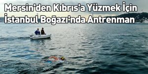 Mersin'den Kıbrıs'a Yüzmek İçin İstanbul Boğazı'nda Antrenman