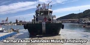 Marmara Adası Sahilindeki Müsilaj Temizleniyor