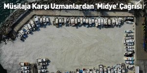 Müsilaja Karşı Uzmanlardan 'Midye' Çağrısı