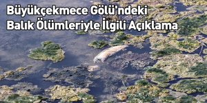 Büyükçekmece Gölü'ndeki Balık Ölümleriyle İlgili Açıklama