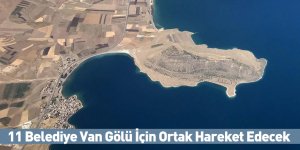 11 Belediye Van Gölü İçin Ortak Hareket Edecek
