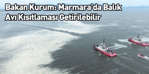 Bakan Kurum: Marmara'da Balık Avı Kısıtlaması Getirilebilir
