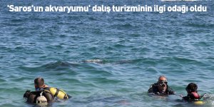 'Saros'un akvaryumu' dalış turizminin ilgi odağı oldu
