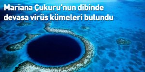 Mariana Çukuru’nun dibinde devasa virüs kümeleri bulundu