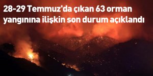 28-29 Temmuz'da çıkan 63 orman yangınına ilişkin son durum açıklandı
