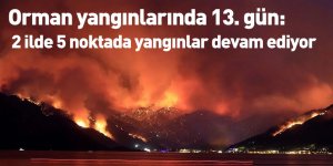 Orman yangınlarında 13. gün: 2 ilde 5 noktada yangınlar devam ediyor