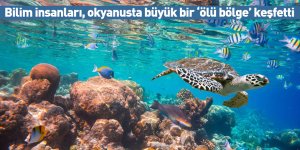 Bilim insanları, okyanusta büyük bir ‘ölü bölge’ keşfetti