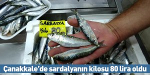 Çanakkale’de sardalyanın kilosu 80 lira oldu