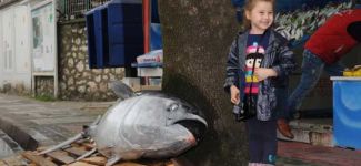 Marmara Denizi'nde 360 kiloluk orkinos yakalandı