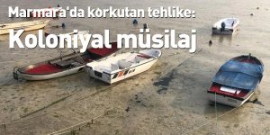Marmara'da korkutan tehlike: Koloniyal müsilaj