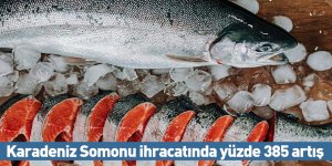 Karadeniz Somonu ihracatında yüzde 385 artış
