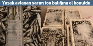 Yasak avlanan yarım ton balığına el konuldu