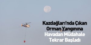 Kazdağları'nda çıkan orman yangınına havadan müdahale tekrar başladı