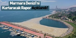 Marmara Denizi’ni Kurtaracak Rapor Açıklandı!