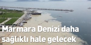 Marmara Denizi daha sağlıklı hale gelecek