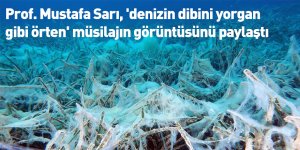Prof. Mustafa Sarı, 'denizin dibini yorgan gibi örten' müsilajın görüntüsünü paylaştı