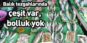 Balık tezgahlarında çeşit var, bolluk yok