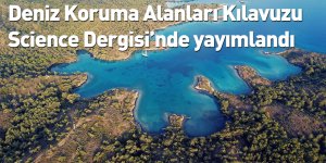 Deniz Koruma Alanları Kılavuzu Science Dergisi’nde yayımlandı