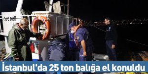 İstanbul'da 25 ton balığa el konuldu