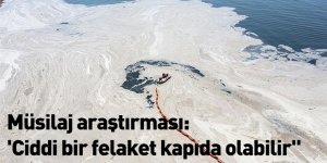 Müsilaj araştırması: 'Ciddi bir felaket kapıda olabilir"