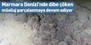 Marmara Denizi'nde dibe çöken müsilaj parçalanmaya devam ediyor