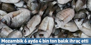 Mozambik 6 ayda 4 bin ton balık ihraç etti