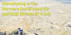 Hidrobiyolog Artüz: Marmara Denizi'ndeki tür çeşitliliği 250'den 21'e indi