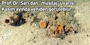 Prof. Dr. Sarı'dan "müsilaj" uyarısı: Kasım ayında yeniden görülebilir