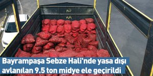 Bayrampaşa Sebze Hali'nde yasadışı avlanılan 9.5 ton midye ele geçirildi