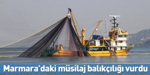 Marmara’daki müsilaj balıkçılığı vurdu