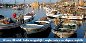 Lübnan ülkedeki balık zenginliğini keşfetmek için çalışma başlattı