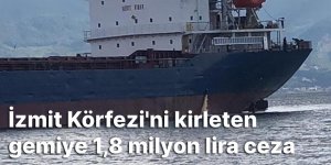 İzmit Körfezi'ni kirleten gemiye 1,8 milyon lira ceza
