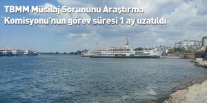 TBMM Müsilaj Sorununu Araştırma Komisyonu'nun görev süresi 1 ay uzatıldı