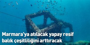Marmara'ya atılacak yapay resif balık çeşitliliğini arttıracak