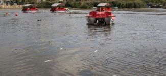 Mogan Gölü can çekişiyor