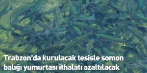Trabzon'da kurulacak tesisle somon balığı yumurtası ithalatı azaltılacak