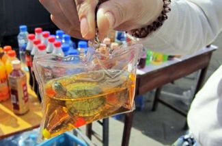 Eziyet çılgınlığı