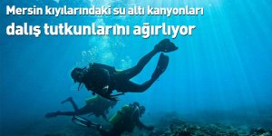 Mersin kıyılarındaki su altı kanyonları dalış tutkunlarını ağırlıyor