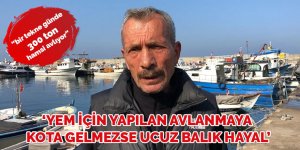 ‘Yem için yapılan avlanmaya kota gelmezse ucuz balık hayal’